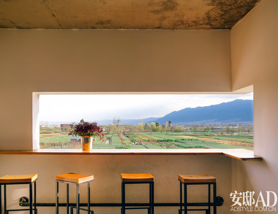 農(nóng)場到餐桌的食材之旅，綠色生活的味蕾盛宴