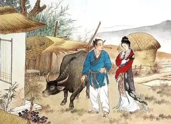 自給自足田園生活，品嘗自種食材的絕美滋味