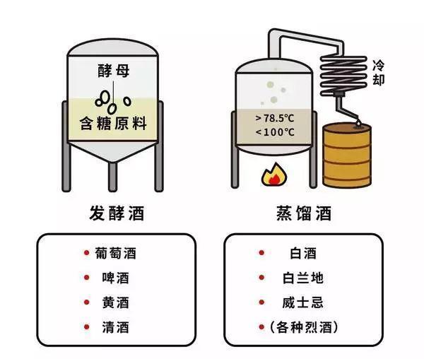 發(fā)酵技巧與原理，提升食物風(fēng)味探索