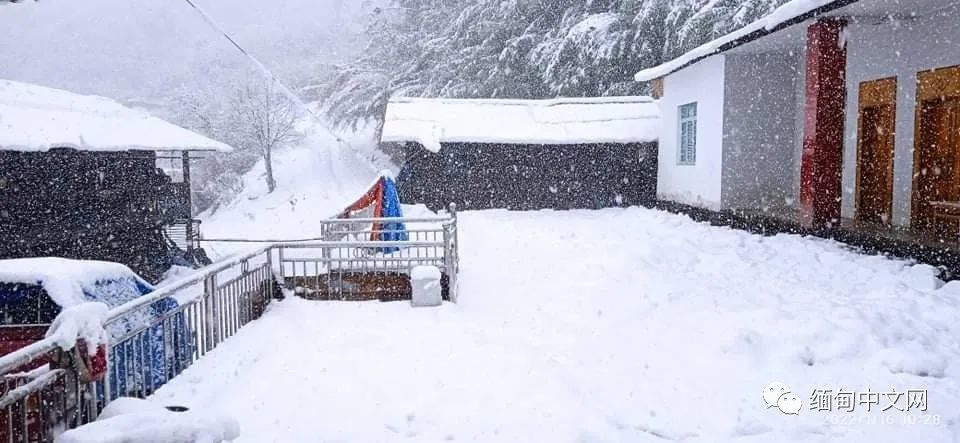 雪后公園足跡印記，探尋冬日自然之美