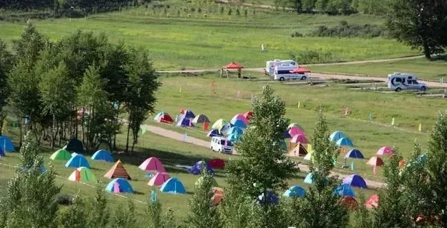 山間小道自然之旅，草木蔥蘢，清新空氣之旅