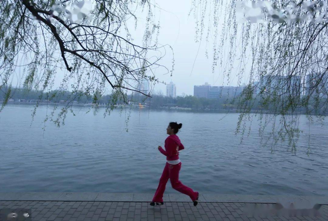 湖畔柳影之美，微風(fēng)輕拂的倒影魅力
