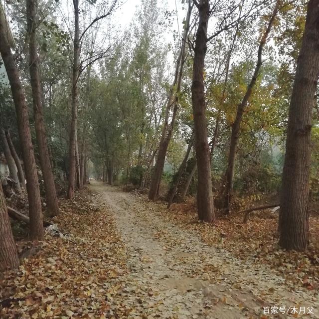 夢醉江南 第3頁