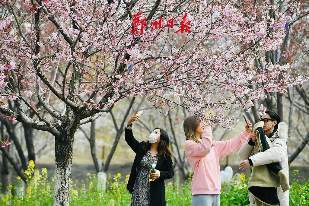 春雨后，世界如畫，清新花香沁人心脾