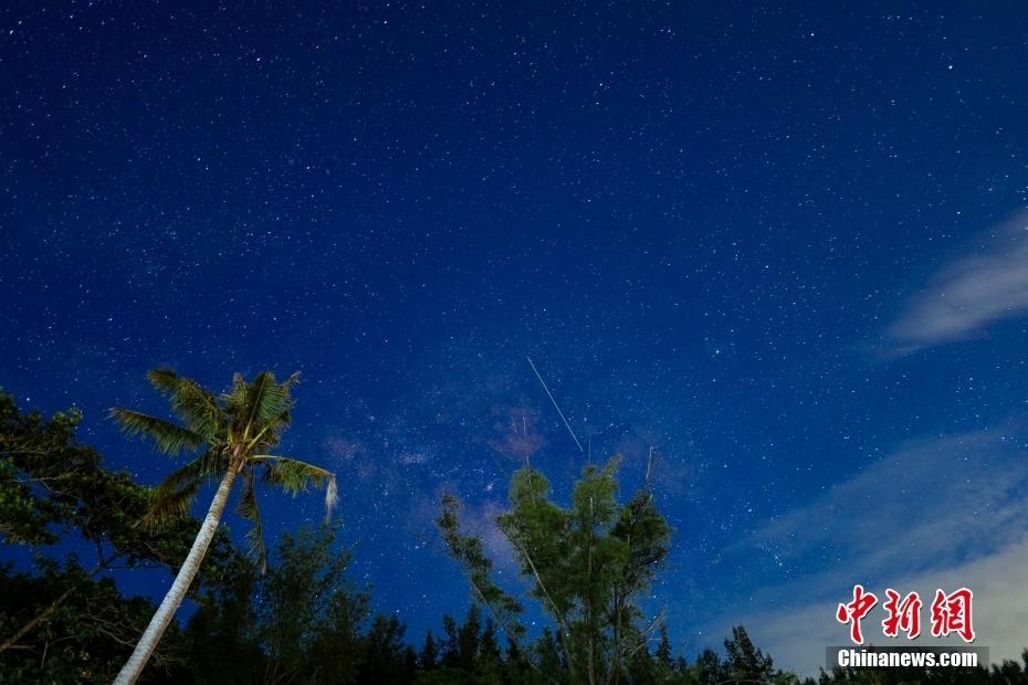 夏夜星空璀璨，蟬聲響徹田野