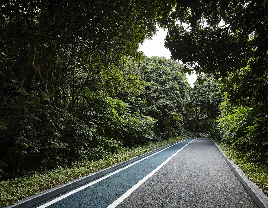 清晨公園，活力跑步時(shí)光