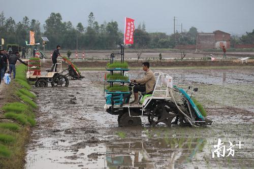 無人機(jī)精準(zhǔn)播種與灌溉技術(shù)在農(nóng)業(yè)中的創(chuàng)新應(yīng)用