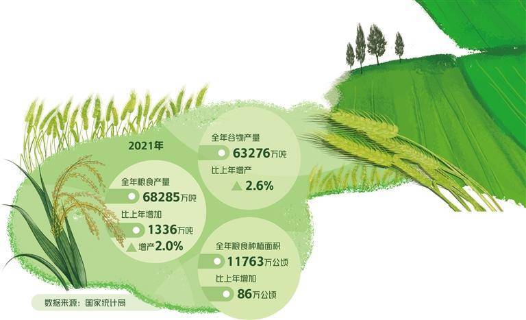 精準(zhǔn)農(nóng)業(yè)應(yīng)對全球糧食安全挑戰(zhàn)的策略探討