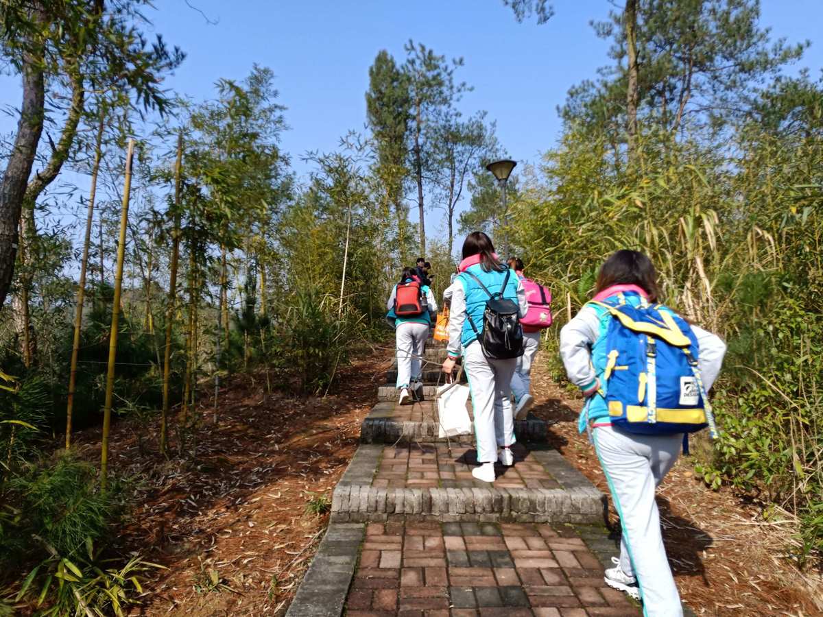 遠(yuǎn)足與旅行，提升孩子認(rèn)知能力的鍛煉之旅