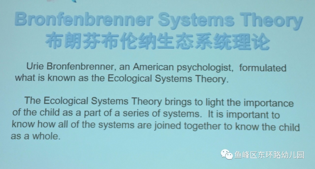 探索教育黃金分割點，自主引導學習的平衡方法探索