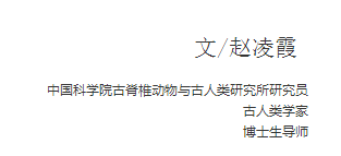 科學(xué)探索活動，點(diǎn)燃孩子的好奇心與求知欲之火