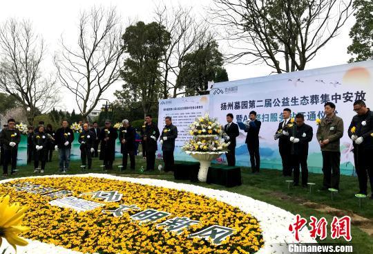 社會(huì)活動(dòng)中的情感表達(dá)與文化認(rèn)同，交織紐帶的探究