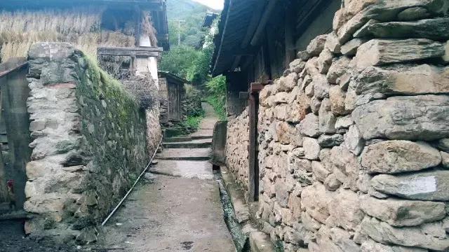 楓葉如火 第3頁(yè)