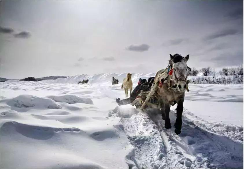 穿越極地冰雪，挑戰(zhàn)與魅力的探險(xiǎn)之旅