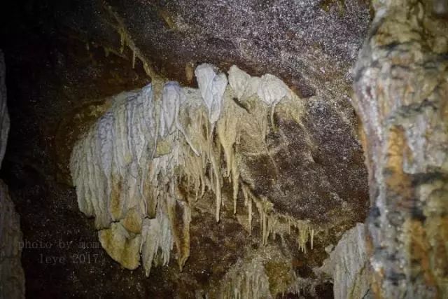 探訪奇特山洞，地下探險之旅的樂趣體驗