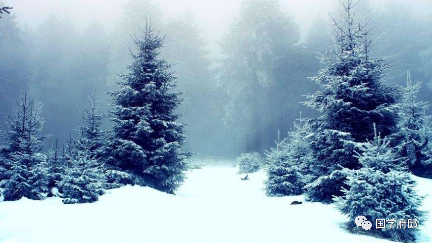 冬季山間雪舞，世界靜謐如畫