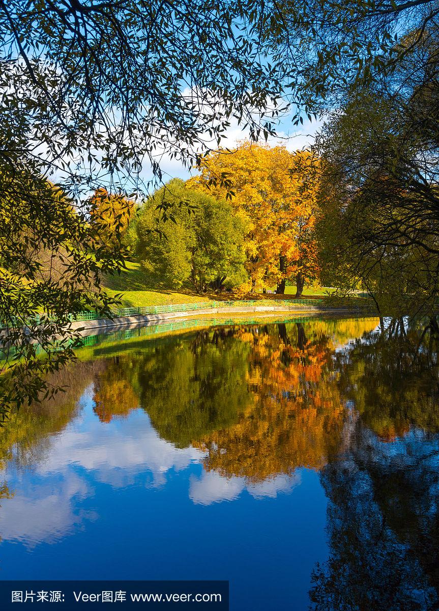秋日公園，樹(shù)木倒影與詩(shī)意畫卷的交相輝映