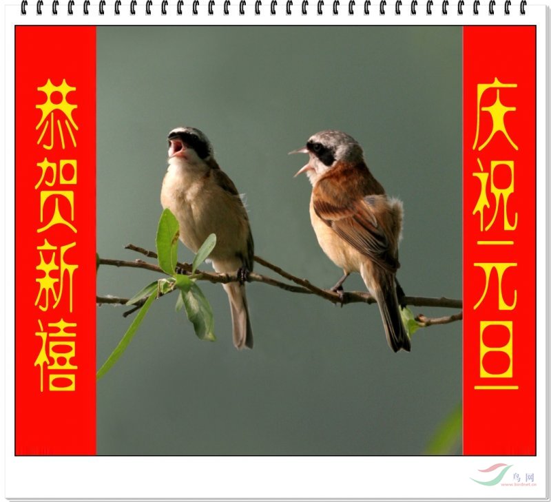 春天的山野，鳥鳴綠意，生機(jī)盎然