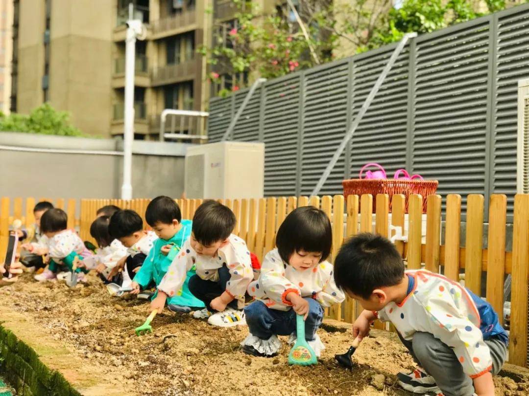自然觀察與科學教育，相輔相成之道探索