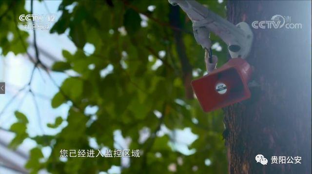 大數(shù)據(jù)對(duì)社會(huì)治理的影響與挑戰(zhàn)，探索與應(yīng)對(duì)之道