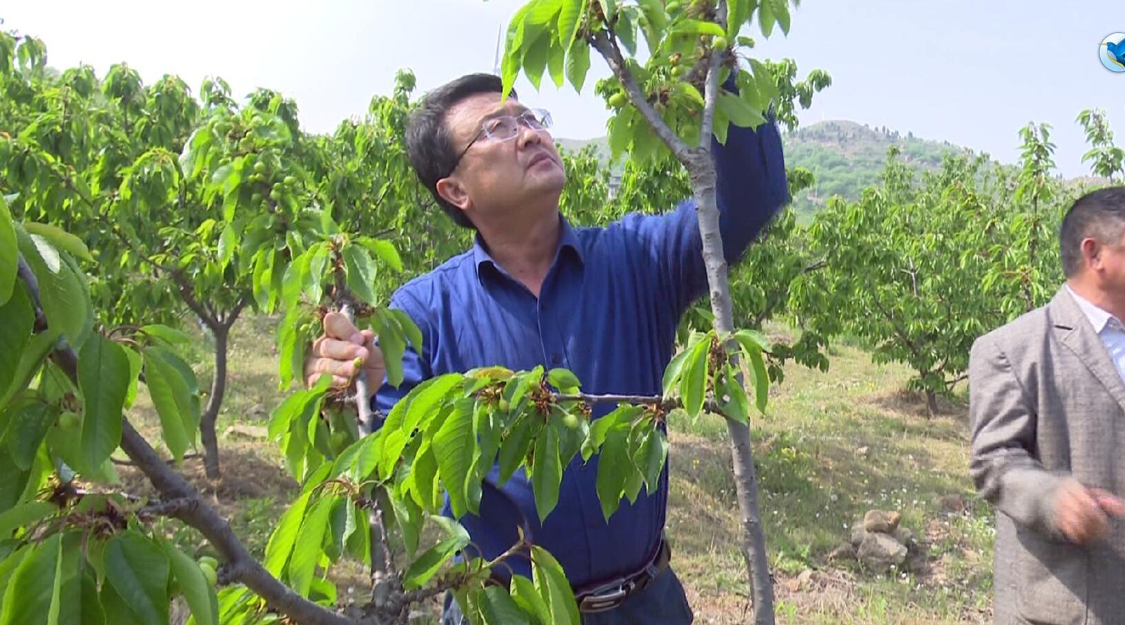 智能農(nóng)業(yè)實(shí)現(xiàn)精準(zhǔn)灌溉與施肥的技術(shù)探討