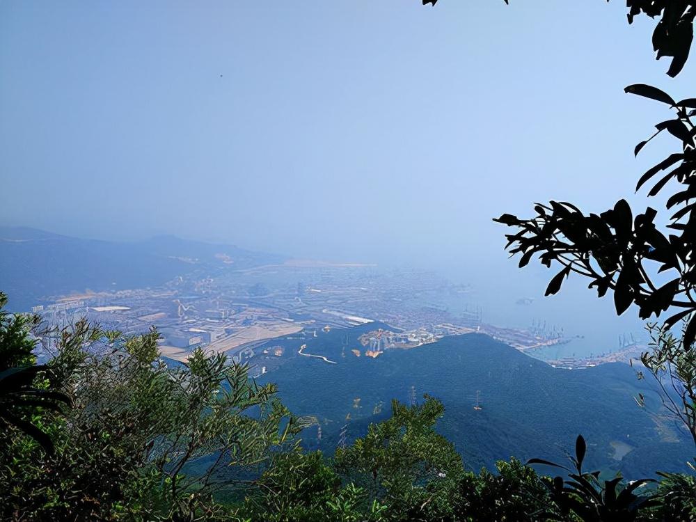 探訪世界最古老的動(dòng)植物園，領(lǐng)略自然奇景的魅力