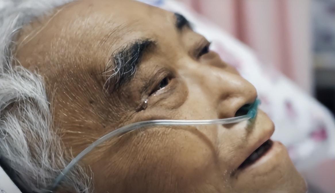節(jié)食期間的飲食調(diào)整策略，避免身體疲勞的秘訣