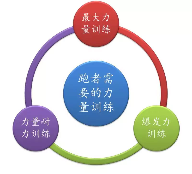 增強力量訓(xùn)練，改善骨密度的關(guān)鍵之道