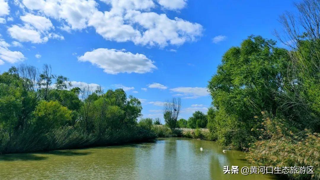 生態(tài)旅游中的文化傳播與社會參與，互動與影響