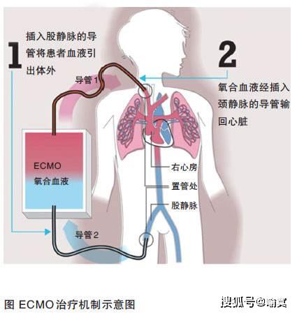 深呼吸幾分鐘，肺部健康秘訣揭曉！