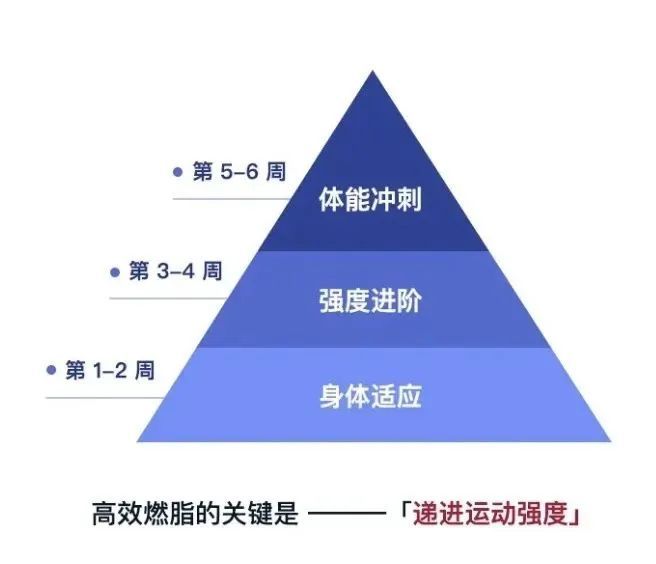每日30分鐘運動，整體健康的秘訣之道
