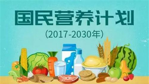 智慧之路，低卡飲食助你維持健康體重與能量平衡