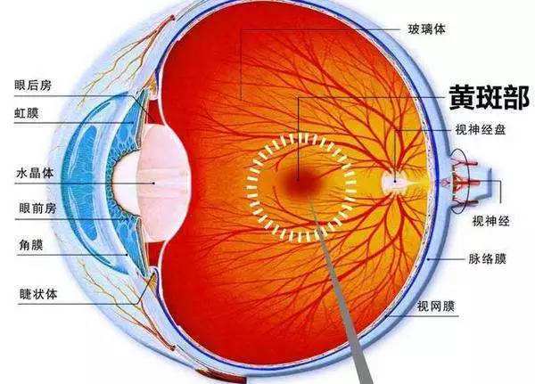 限制屏幕時間保護(hù)眼部健康的重要性