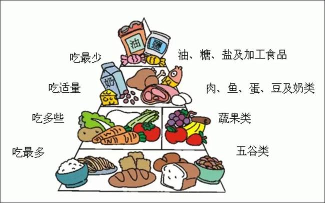 低脂飲食，雙重助力維持體重與健康