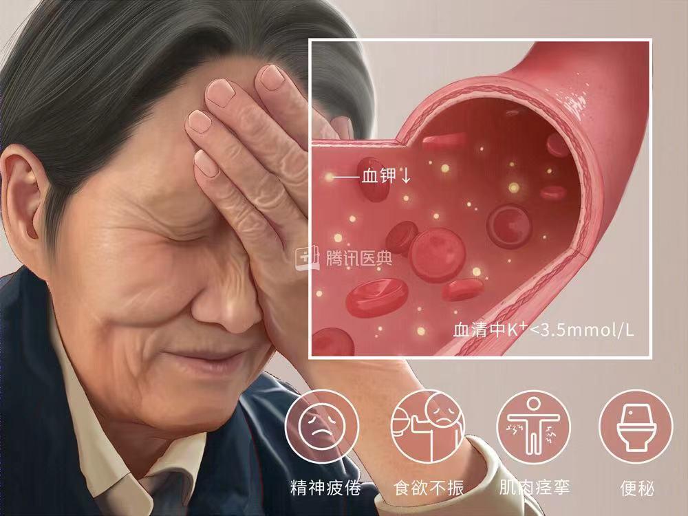 每日蛋白質(zhì)定量攝入對肌肉維持的關(guān)鍵作用