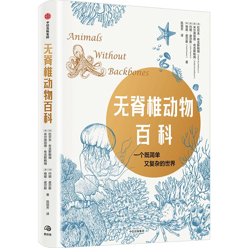 音樂與數(shù)學(xué)思維，探究內(nèi)在關(guān)聯(lián)性