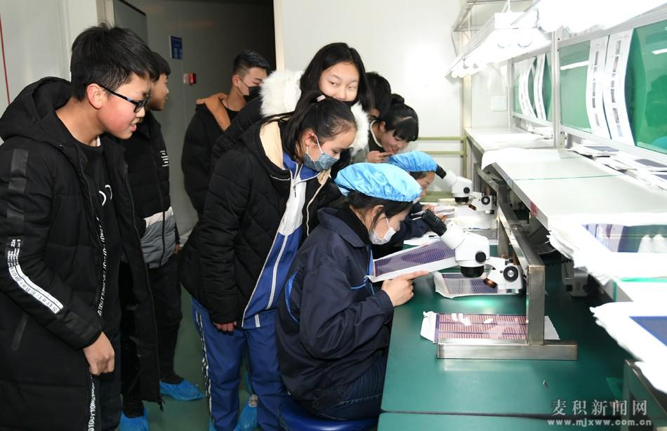 科技教育，塑造學生未來職業(yè)規(guī)劃的關鍵力量影響探討