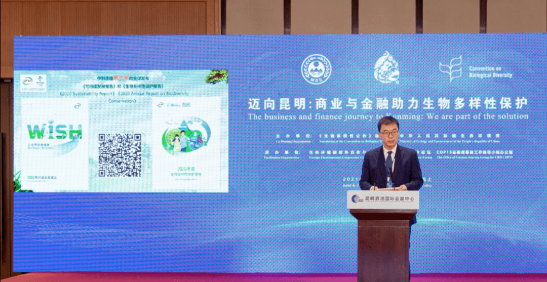 課外活動多樣性，學(xué)生全面發(fā)展的有力支撐