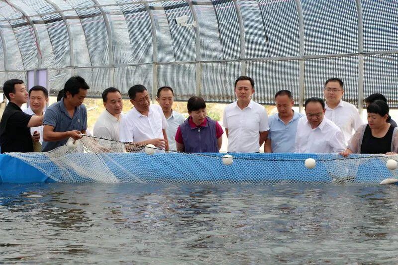 哈尼梯田民居，地域融合與生活智慧的體現(xiàn)