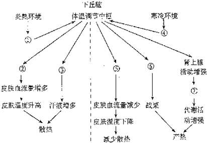 自然環(huán)境運動，心理與生理的雙重調(diào)節(jié)之道