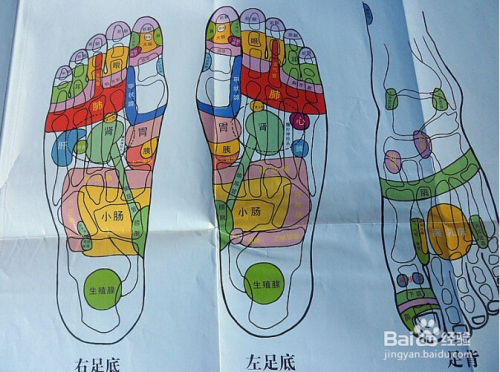 腦力活動與老年癡呆癥的預(yù)防，探究腦力活動對減緩老年癡呆癥的作用