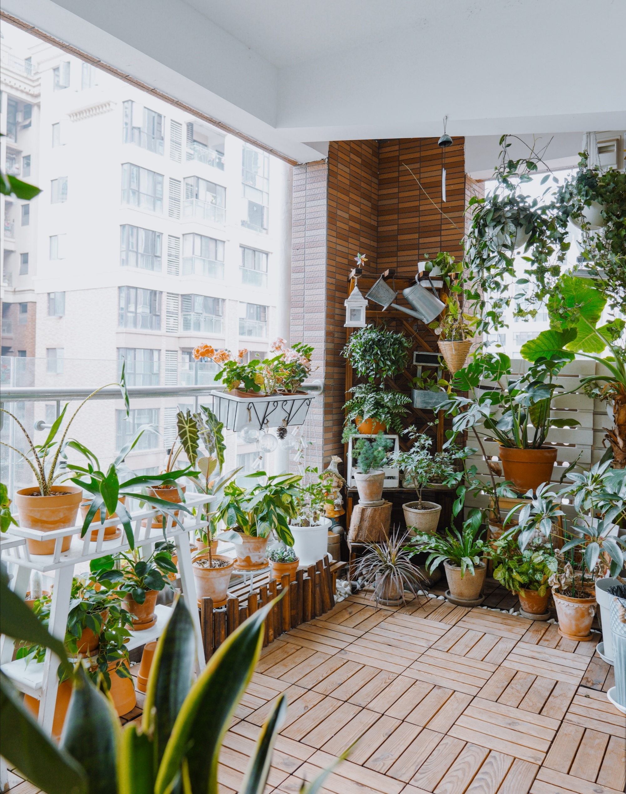 家庭陽臺變身休閑綠植區(qū)，享受自然之樂，放松心情的空間